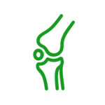 Ortopedija icon